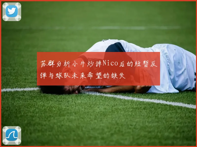 苏群分析小牛炒掉Nico后的短暂反弹与球队未来希望的缺失
