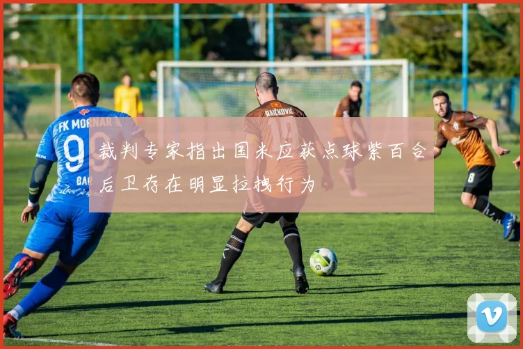 裁判专家指出国米应获点球紫百合后卫存在明显拉拽行为