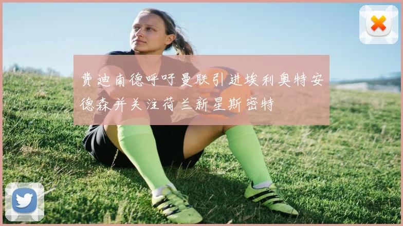 费迪南德呼吁曼联引进埃利奥特安德森并关注荷兰新星斯密特